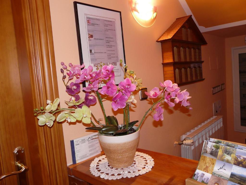 Hostal Rural Casa Castro Альберуэла-де-ла-Льена Экстерьер фото